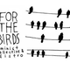 Illustration for article titled Shameless plug: For The Birds!